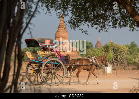 Oxcart touristes dans un taxi devant la Pagode du Temple et de champs de Bagan au Myanmar en Southeastasia. Banque D'Images