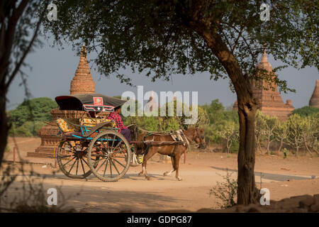 Oxcart touristes dans un taxi devant la Pagode du Temple et de champs de Bagan au Myanmar en Southeastasia. Banque D'Images