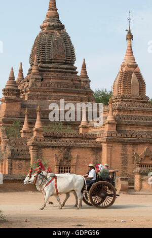 Oxcart touristes dans un taxi devant la Pagode du Temple et de champs de Bagan au Myanmar en Southeastasia. Banque D'Images