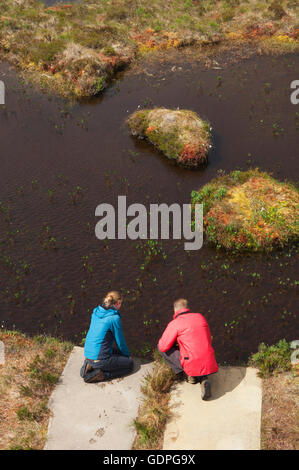 Jeune couple à la découverte des piscines des tourbières sur la RSPB Dubh Lochan Piste à Forsinard, Sutherland, Scotland. Banque D'Images