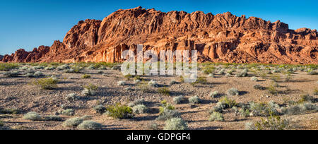 Formation rocheuse de grès dans la Vallée de Feu, le parc désert de Mojave, Nevada, USA Banque D'Images