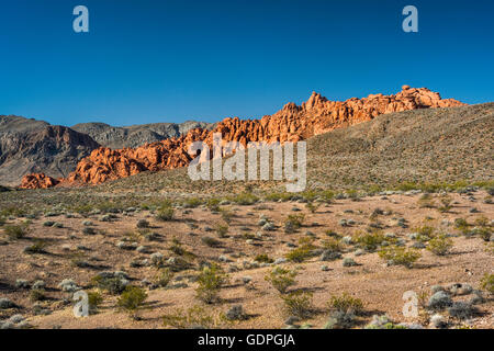 Formation rocheuse de grès dans la Vallée de Feu, le parc désert de Mojave, Nevada, USA Banque D'Images