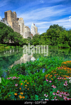 Central Park South à Manhattan, New York City Banque D'Images