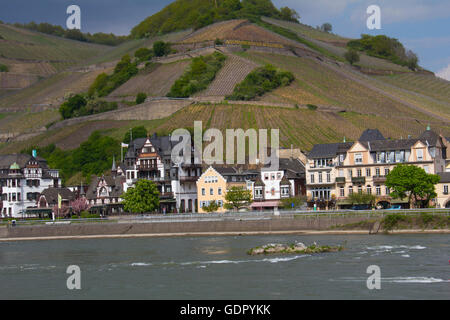 Assmannhausen est un typique village gorges du Rhin, soutenue par les coteaux de vignes, de l'Allemagne. Banque D'Images