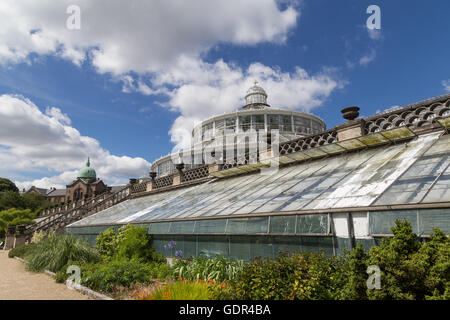 Copenhague, Danemark - Juillet 19, 2016 : La palm house dans le jardin botanique Banque D'Images