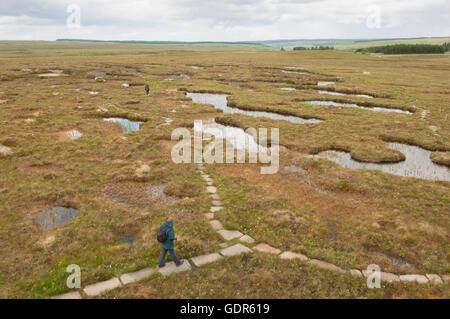 Walker sur la piste à Forsinard Dubh Lochan réserve RSPB - Sutherland, de l'Écosse. Banque D'Images