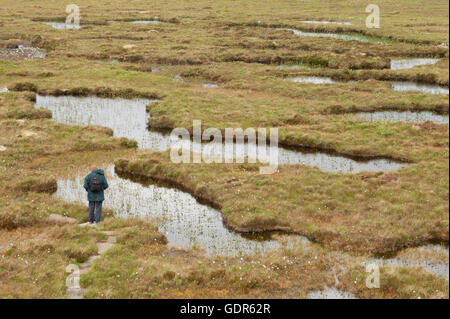 Walker sur la piste à Forsinard Dubh Lochan réserve RSPB - Sutherland, de l'Écosse. Banque D'Images