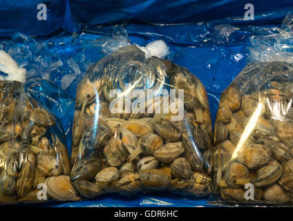 Marché de gros de la pêche Noryangjin, région de la capitale nationale, Séoul, Corée du Sud Banque D'Images