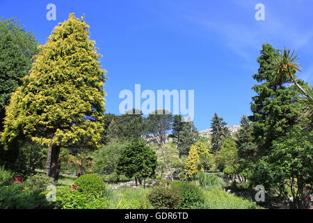 Les jardins de Happy Valley, Llandudno Banque D'Images