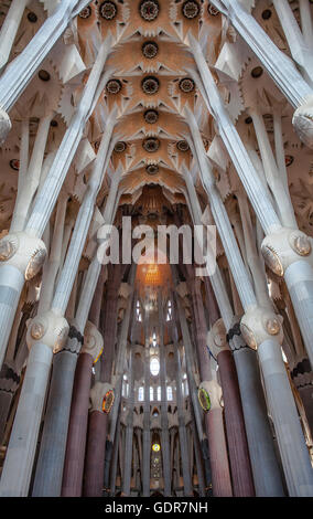 Intérieur de la basilique Sagrada Familia,nef, Barcelone, Catalogne, Espagne Banque D'Images