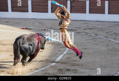 Torero espagnol Juan Jose Padilla banderilles fixation à 650 kg le taureau taureau dans l'Arène de Linares, Espagne Banque D'Images