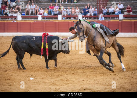 Andujar, ESPAGNE - 12 septembre 2009 : Andy Cartagena, torero à cheval espagnol, Andujar, Jaen, Espagne Banque D'Images