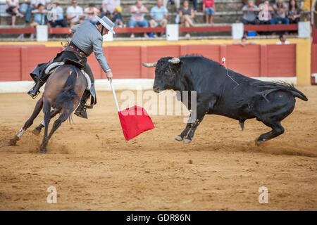 Andujar, ESPAGNE - 12 septembre 2009 : Alvaro Montes, torero à cheval espagnol, Andujar, Jaen, Espagne Banque D'Images