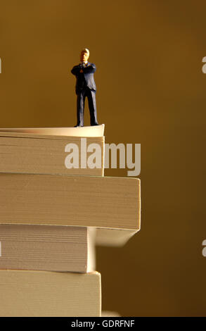 Figurine on pile of books Banque D'Images