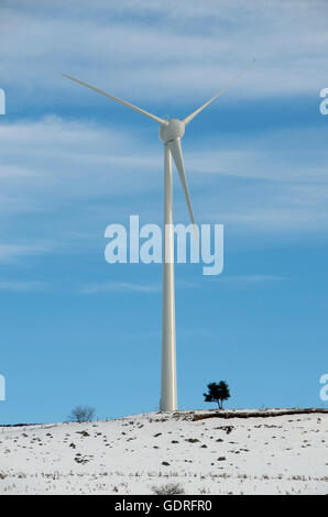 Wind turbine, Région Auvergne, France, Europe Banque D'Images