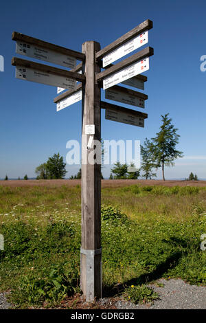 Enseigne sur la montagne Kahlen Asten, Winterberg, Sauerland, Rhénanie du Nord-Westphalie Banque D'Images