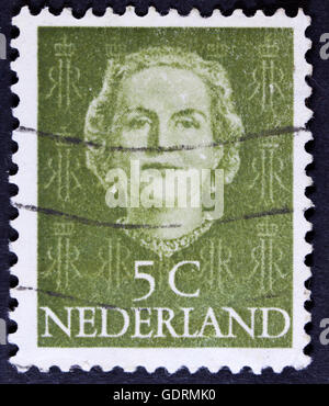 Pays-bas - circa 1949 : timbre imprimé aux Pays-Bas, spectacles portrait de la Reine Whilhelmina, monogramme et la couronne sans insc Banque D'Images