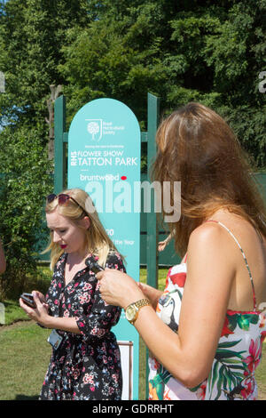 Tatton Park RHS Flower Show Expositions. 19 juillet, 2016. Exposition présentée au fabuleux Tatton RHS Flower Show à Knutsford, Cheshire, Royaume-Uni. L'événement de l'horticulture annuel est une occasion pour le meilleur jardin designers dans le domaine de montrer leurs stands aux milliers de visiteurs. Canicule avec des températures dans les 30º centigrades  + région, les visiteurs seront bénis avec l'affichage des jardins spectacle fantastique sur l'offre. Nos champagnes et vins fins sont sûr de couler alors que le spectacle se déplace vers son célèbre 'Ladies Day'. Credit : Cernan Elias/Alamy Live News Banque D'Images