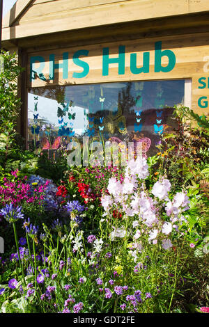 Tatton Park, Londres, UK. 21 juillet, 2016. Le Tatton Park RHS Flower Show, le plus grand événement du nord jardin tenue dans le magnifique parc de 1 000 acres du Cheshire deer park. Pendant près d'une décennie le parc Tatton a offert aux jeunes designers l'occasion incomparable de conception & Construction montrent un modèle afin d'aider à lancer leurs carrières en horticulture. Des centaines d'exposants montreront leurs conceptions de jardin et accessoires pour le millier de visiteurs attendus au cours de l'événement. Credit : Cernan Elias/Alamy Live News Banque D'Images