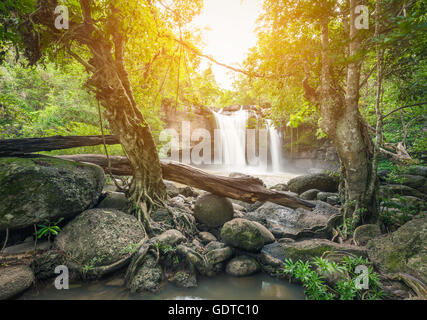 Déménagement boue entouré par une chute d'arbre vert et grosse pierre. La lumière du soleil orange brillant à travers le feuillage et les feuilles sur le dessus. Banque D'Images