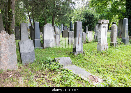 Graves sur la section juive du cimetière central de Vienne, Autriche Banque D'Images