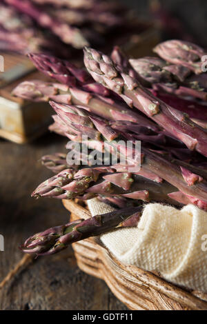 Asperges violettes biologiques crus prête pour la cuisson Banque D'Images