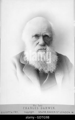 CHARLES DARWIN (1809-1882) Naturaliste anglais sur sa carte de visite. Photographié par Elliott & Fry en 1881 Banque D'Images