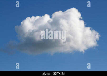 Seul nuage blanc moelleux sur bleu Banque D'Images