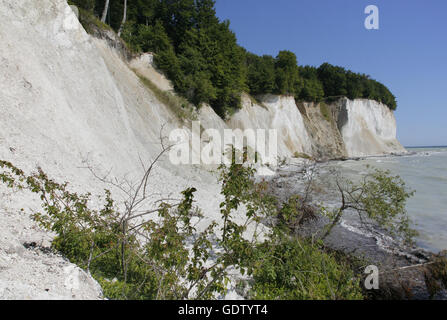 Falaises de craie de Rügen Banque D'Images