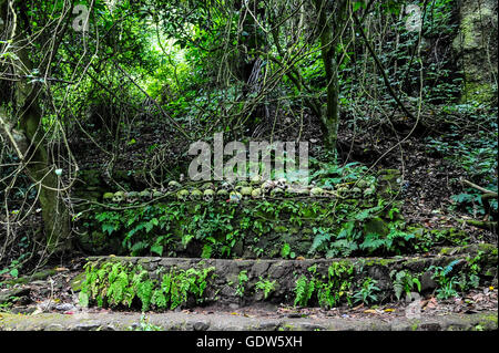 Crânes dans le cimetière de Trunyan Village de Bali, qui n'est pas enterrer leurs défunts Banque D'Images