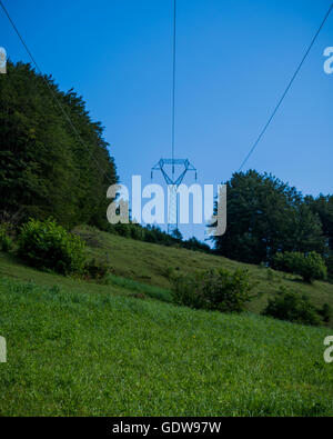 La ligne de transmission de puissance à travers la forêt à venir Banque D'Images