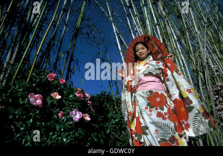 La danse traditionnelle au printemps et fête de l'eau près de Jinghong, dans la région de Xishuangbanna, dans la province de Yunnan en chi Banque D'Images