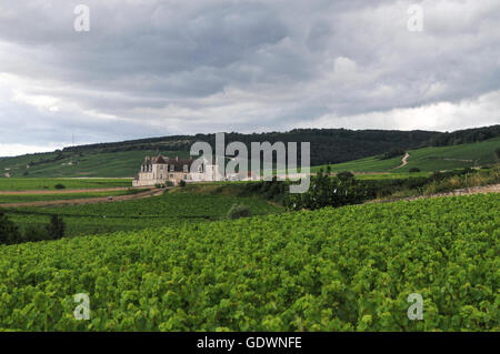 Clos de Vougeot, Bourgogne France Banque D'Images