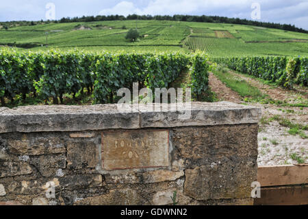 Romanée-Conti Grand Cru, Bourgogne, France Banque D'Images