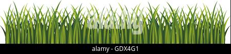 L'herbe verte. Bas de page décoration. Illustration isolé. Vecteur. L'herbe d'été frais. Illustration de Vecteur