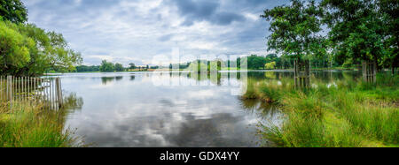 Vue panoramique sur le lac étang pan à Richmond Park Londres Royaume-Uni. Banque D'Images