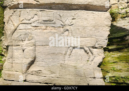 Dessins d'animaux les roches anciennes Banque D'Images