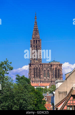 Notre-Dame cathédrale gothique du 14e siècle, Strasbourg, Alsace, France Banque D'Images