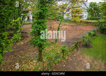 Parcelle urbaine de la terre, Strasbourg, Alsace, France, Europe Banque D'Images