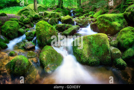 Ruisseau de montagne avec de l'eau cascadant doucement à travers des roches couvertes de mousses en lumière douce Banque D'Images