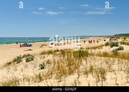 Dunes de sable sur la Praia de Alagoa, entre Monte Gordo et Altura, l'Algarve, Portugal Banque D'Images