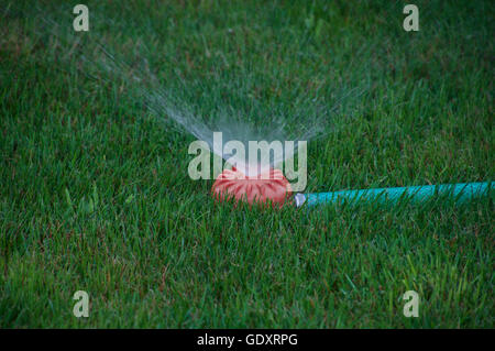 Arrosage pulvérise de l'eau dans le jardin Banque D'Images