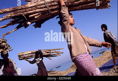 Le Myanmar. Thandwe. L'année 2008. Bois de chauffage Banque D'Images