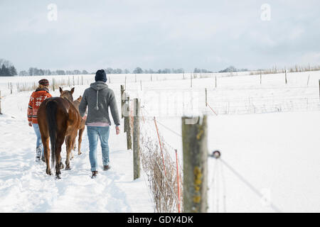 Jeune couple en train de marcher avec les chevaux dans le champ, Bavière, Allemagne Banque D'Images