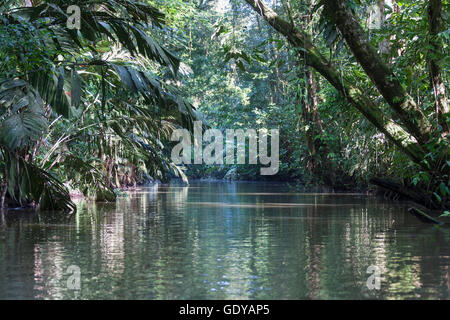 Voie navigable dans le Parc National de Tortuguero, Costa Rica Banque D'Images