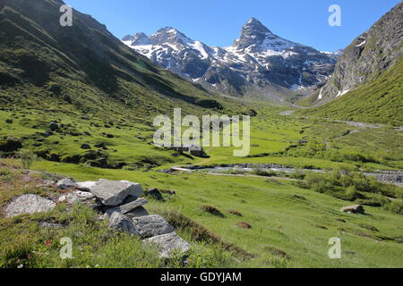 Vue sur le hameau " La Duis " près du hameau de l'ECOT, Bonneval-sur-Arc, Parc National de la Vanoise, Alpes du Nord, Savoie, France Banque D'Images