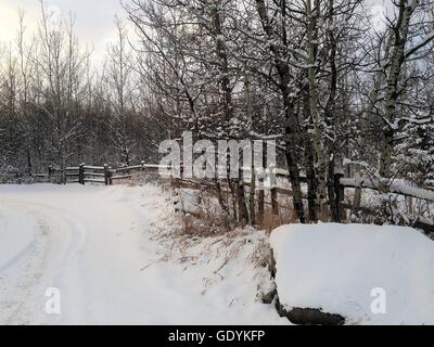 Neige sur une route rurale des Prairies avec clôture et arbres. Banque D'Images