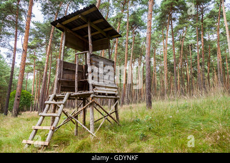 Deerstand allemand dans une forêt Banque D'Images