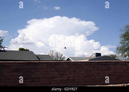 Cinq coups de mon voisin : toits ; arbres ; climatisation et refroidisseur marais unités ; puffy white clouds in a blue sky ; lampe de rue ; un pigeon de passage Banque D'Images