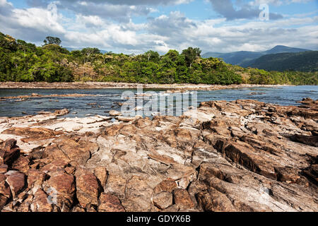 En forêt, au bord du fleuve Carrao, Parc national Canaima, Venezuela Banque D'Images